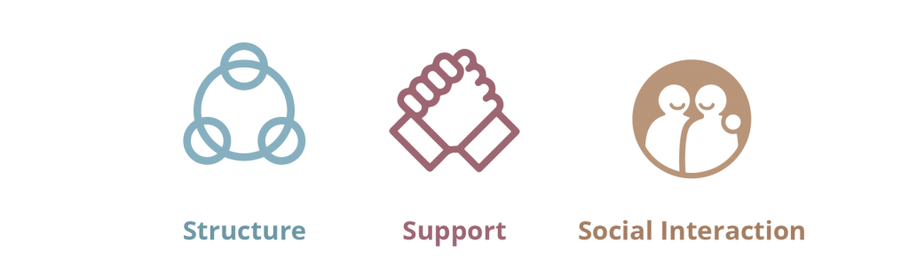Structure, Support and Social Interaction (3Ss)